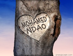 mohamed ndao